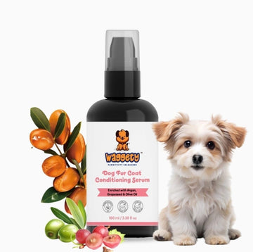 Should I Use Conditioner on My Dog’s Coat, and Is It Necessary?