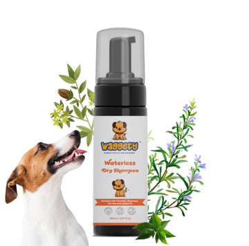 What type of shampoo is best for dogs with sensitive skin?