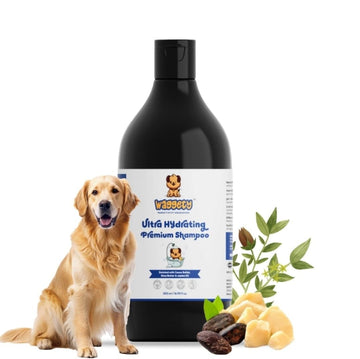 How Often Should You Bathe Your Dog? And What Shampoos Are Safe for Them?