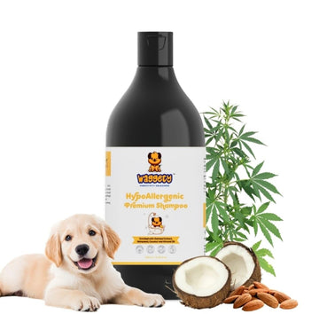 How Can You Prevent Fleas and Ticks on Your Dog?