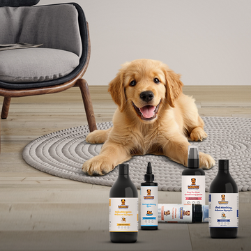 5 Things to Know When Buying Pet Care Products