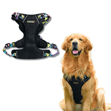 Why a Full-Body Harness is a Preferred Choice for Your Dog's Safety and Comfort