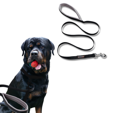 Waggety Dog Leash - Durable Black Polyester, Adjustable Length, Comfortable Grip, Stylish Pet Leash for Dogs, Large