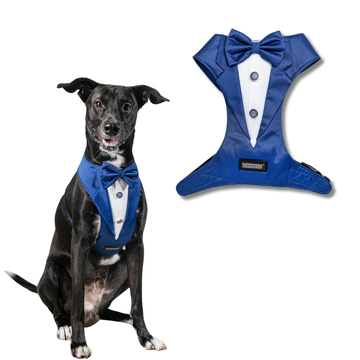 Waggety Tuxedo Dog Harness - Stylish Blue & White Design, Adjustable Fit, Durable Fabric, Elegant Pet Harness for Dogs, Medium