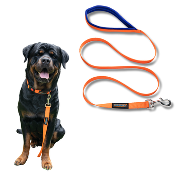 Waggety Dog Leash - Durable Orange Polyester, Comfortable Padded Grip, Stylish Pet Leash for Dogs