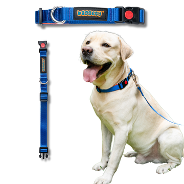 Waggety Padded Dog Collar - Adjustable, Comfortable Fit, Durable Polyester, Soft Padded Dog Accessory, Pet Neck Collar, Dog Gear for Medium Dogs, Blue, M