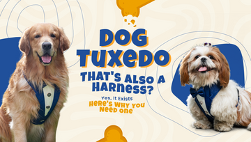 dog tuxedo harness