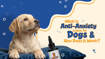 dog lotion
