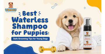 Ingredients to Avoid in Dog Dry Shampoo 