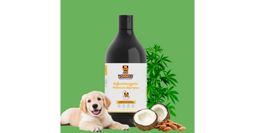 How Can You Prevent Fleas and Ticks on Your Dog?