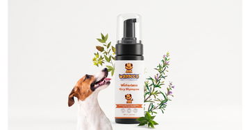 How Often Should You Bathe Your Dog? And What Shampoos Are Safe for Them?