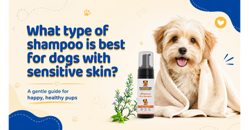 dog serum