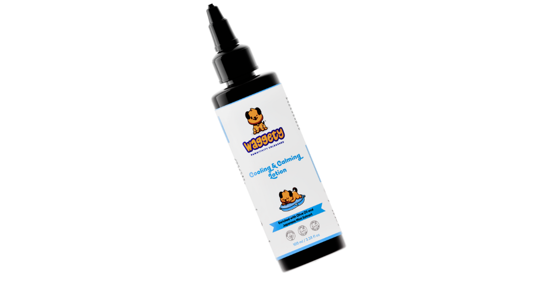 Cooling & Calming Lotion for Dogs | Olive Oil & Japanese Mint | 100 ML - Waggety 