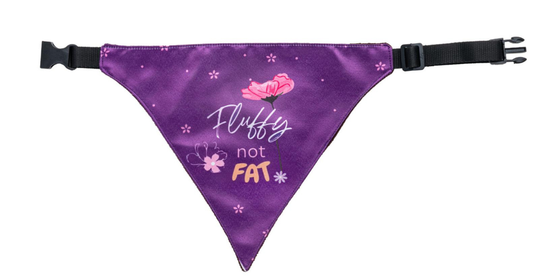 Waggety Cat's and dog's Bandana - "Fluffy Not Fat" Design, Soft Fabric, Stylish Pet Accessory - Waggety 
