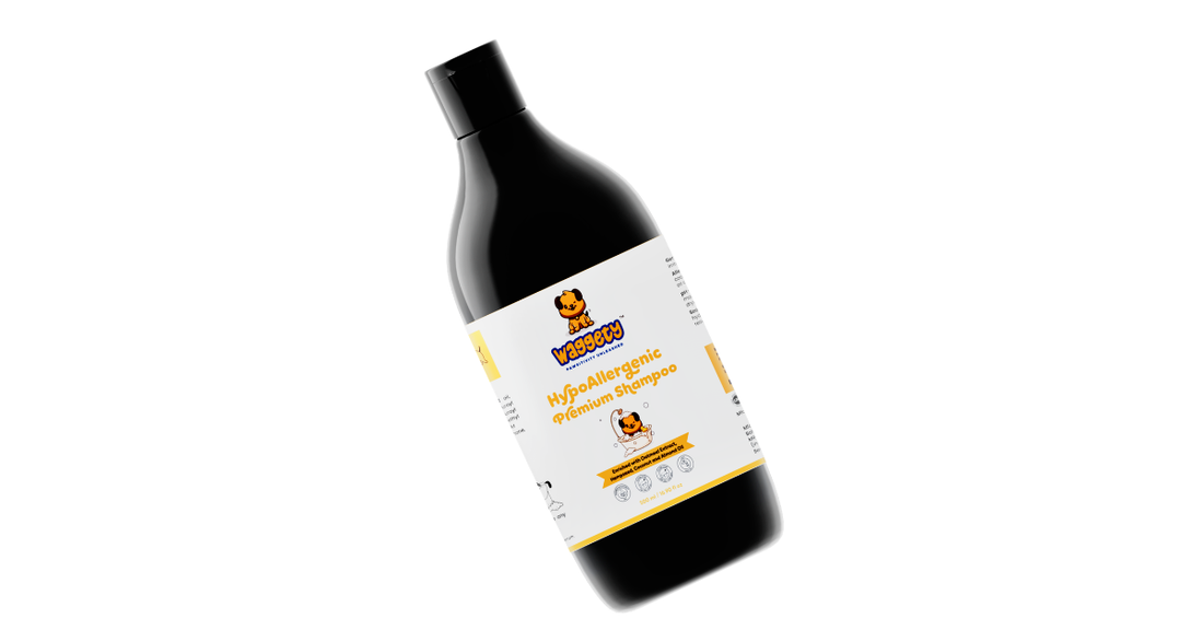 Hypoallergenic Premium Shampoo for Dogs | Oatmeal Extract, Hempseed, Coconut & Almond Oil | 500 ML - Waggety 
