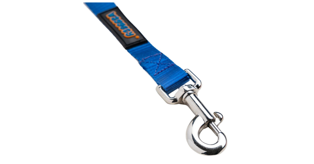 Waggety Dog Leash - Durable Blue Polyester, Comfortable Padded Grip, Stylish Pet Leash for Dogs - Waggety 