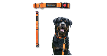 Waggety Padded Dog Collar - Adjustable, Comfortable Fit, Durable Polyester, Soft Padded Dog Accessory, Pet Neck Collar