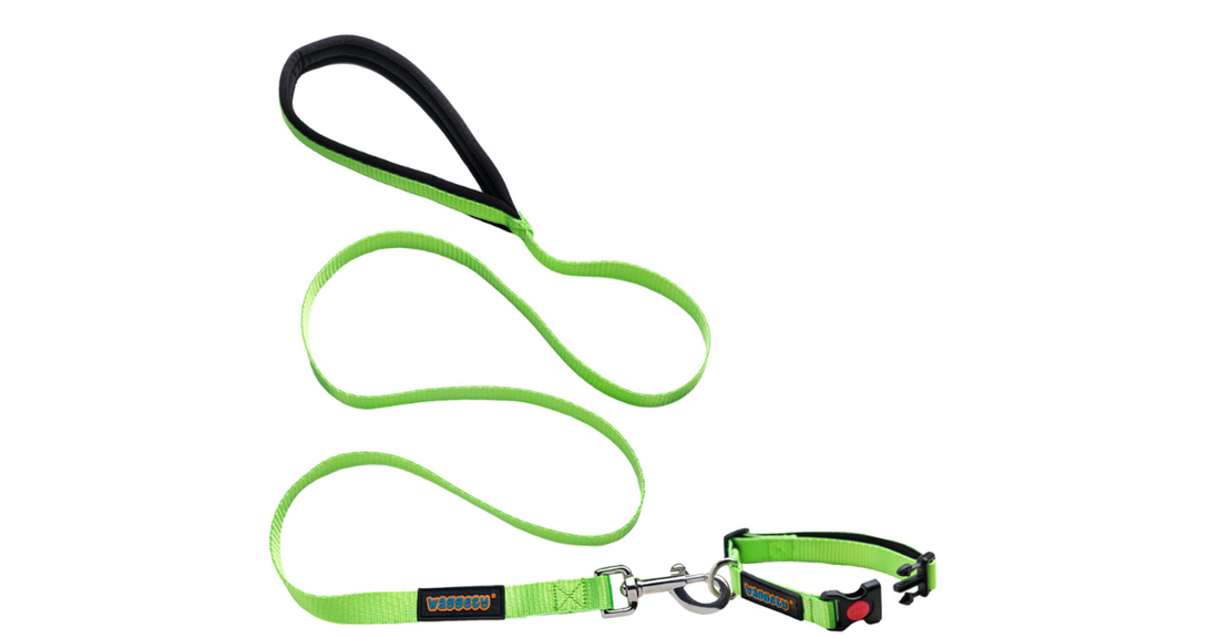Waggety Dog Leash - Durable Green Polyester, Comfortable Padded Grip, Stylish Pet Leash for Dogs - Waggety 