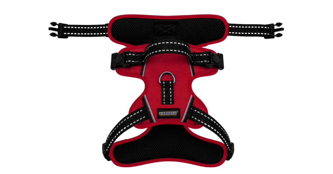 Waggety Adjustable Full Body Dog Harness - Comfortable Fit, Durable Polyester, Red - Waggety 