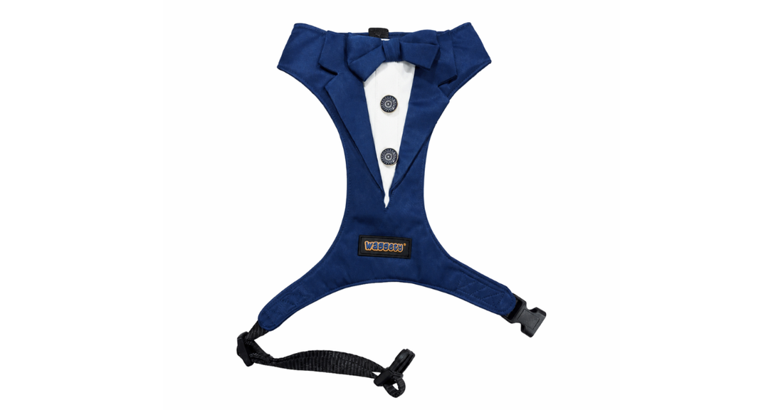 Waggety Tuxedo Dog Harness - Stylish Blue & White Design, Adjustable Fit, Durable Fabric, Elegant Pet Harness for Dogs, Large - Waggety 