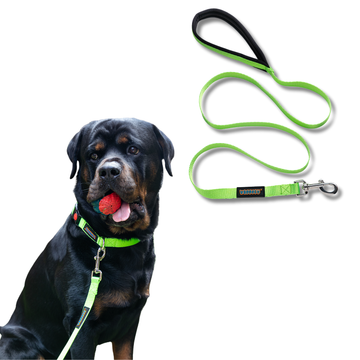 Waggety Dog Leash - Durable Green Polyester, Comfortable Padded Grip, Stylish Pet Leash for Dogs
