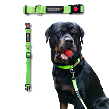 Waggety Padded Dog Collar - Adjustable, Comfortable Fit, Durable Polyester, Soft Padded Dog Accessory, Pet Neck Collar, Dog Gear for Medium Dogs, Green, M