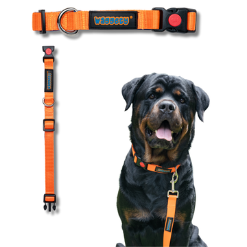 Waggety Padded Dog Collar - Adjustable, Comfortable Fit, Durable Polyester, Soft Padded Dog Accessory, Pet Neck Collar, Orange