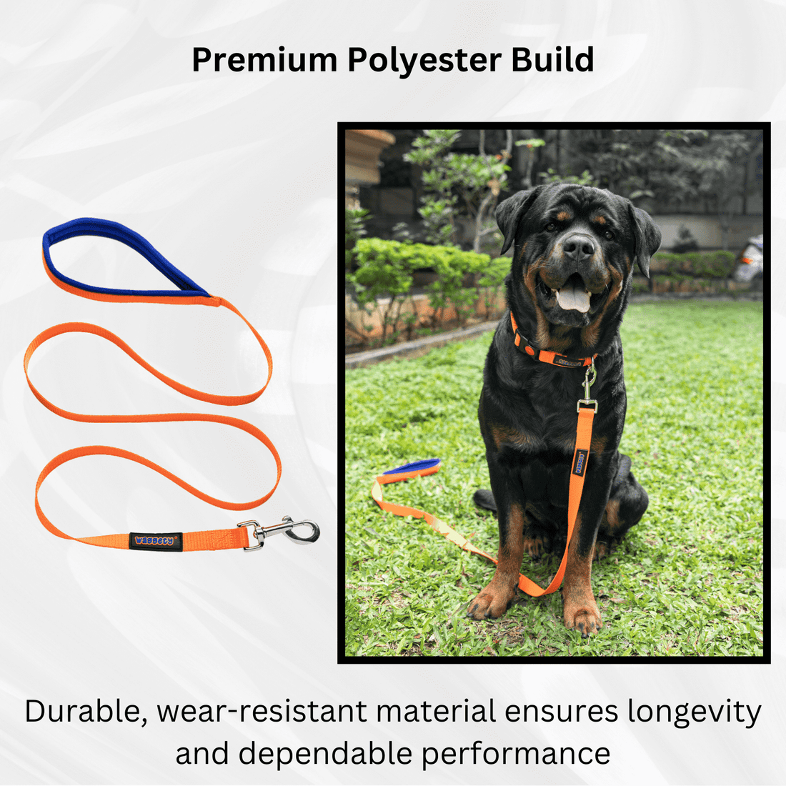 Waggety Dog Leash - Durable Orange Polyester, Adjustable Length, Comfortable Grip, Stylish Pet Leash for Dogs, Large - Waggety 