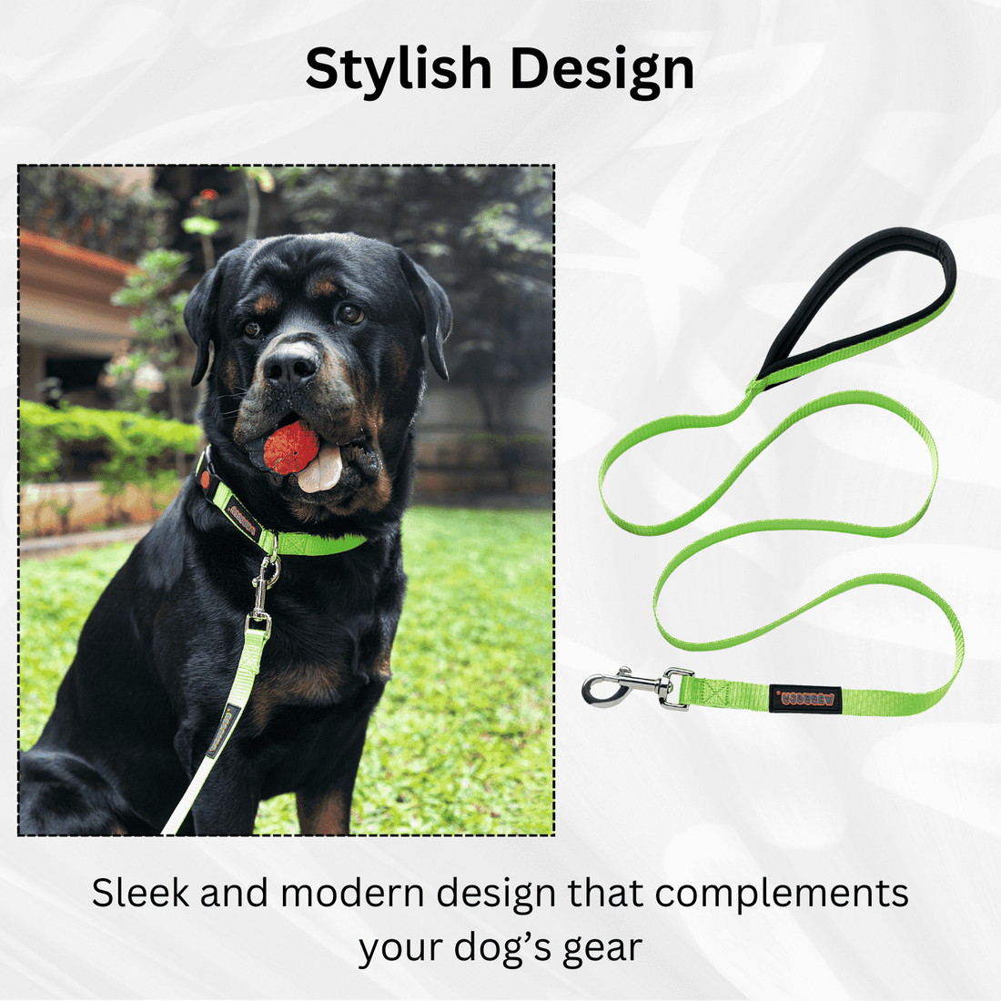Waggety Dog Leash - Durable Green Polyester, Comfortable Padded Grip, Stylish Pet Leash for Dogs - Waggety 