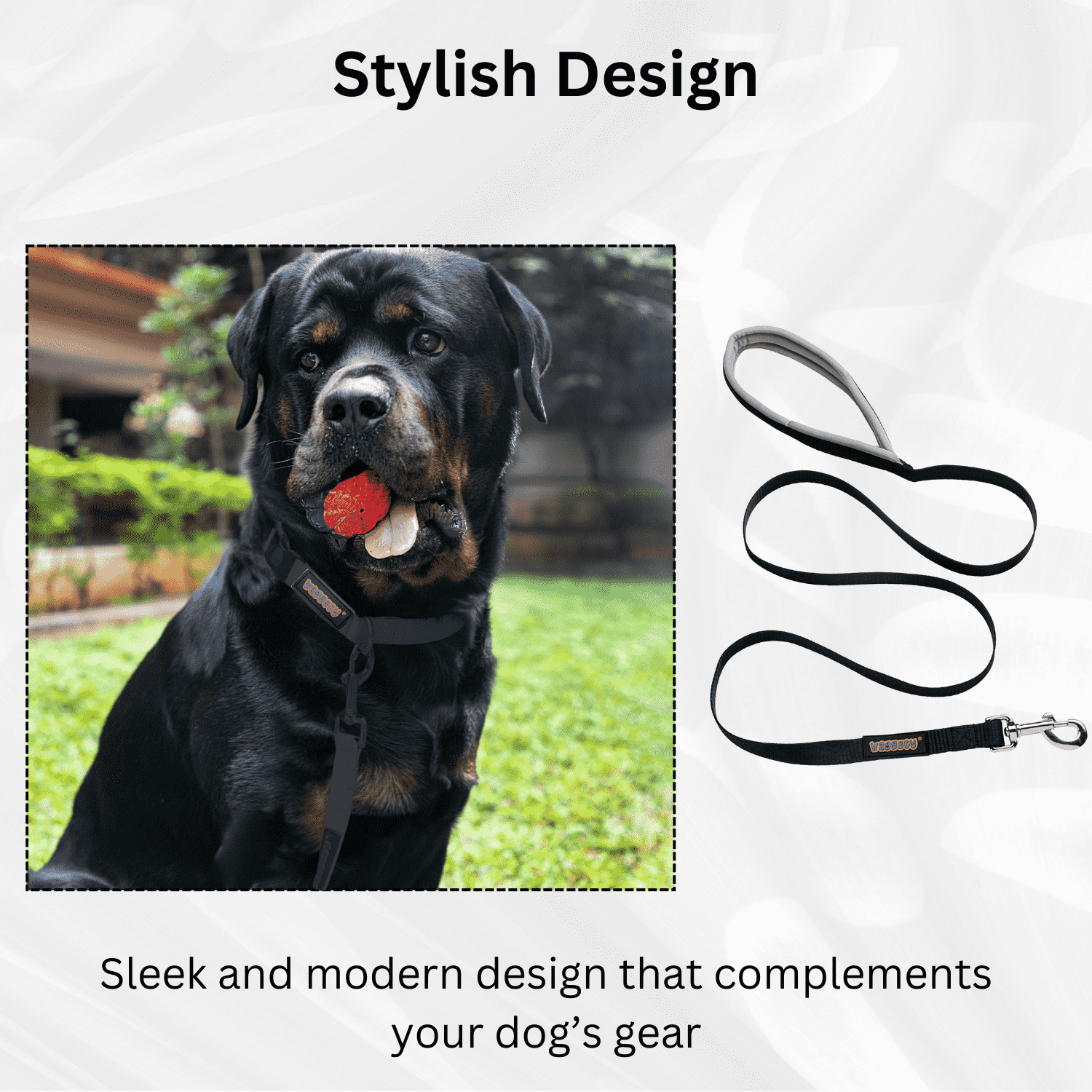 Waggety Dog Leash - Durable Black Polyester, Comfortable Padded Grip, Stylish Pet Leash for Dogs - Waggety 