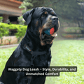 Waggety Dog Leash - Durable Black Polyester, Comfortable Padded Grip, Stylish Pet Leash for Dogs - Waggety 