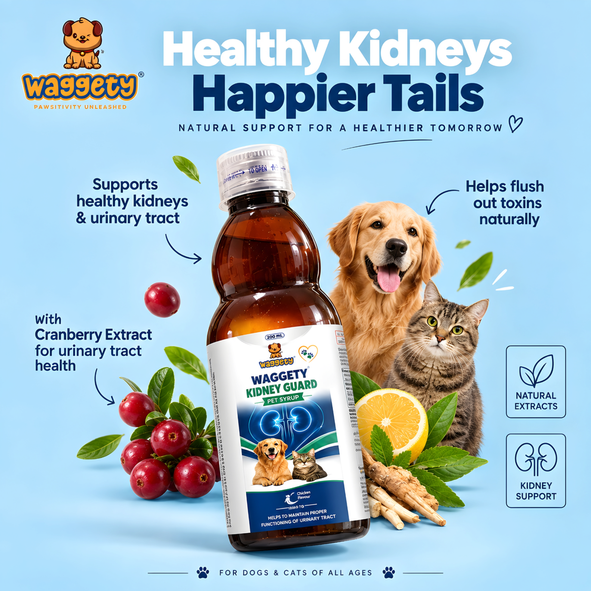 Waggety Kidney Guard Syrup 200 ml - feature 5