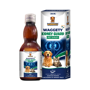 Waggety Kidney Guard Syrup 200 ml - product image