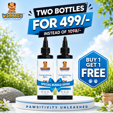Cooling & Calming Lotion for Dogs | Olive Oil & Japanese Mint | 100 ML